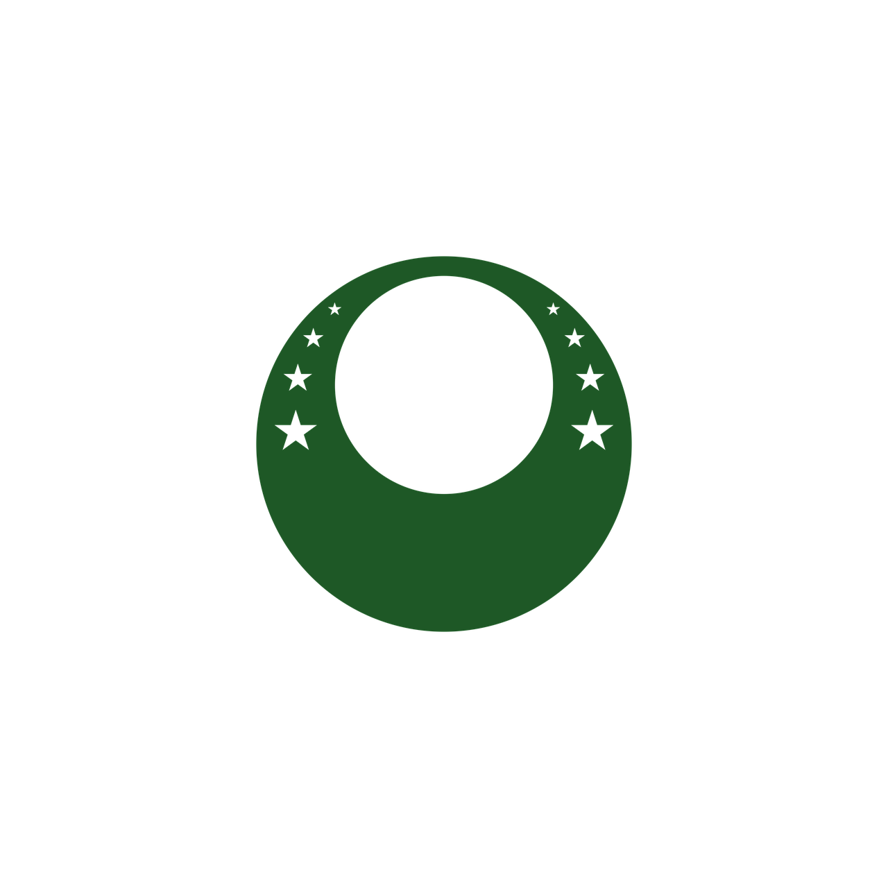 Brazil's youth football development programs are a testament to the